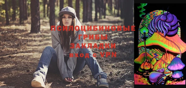 молекула духа Абинск