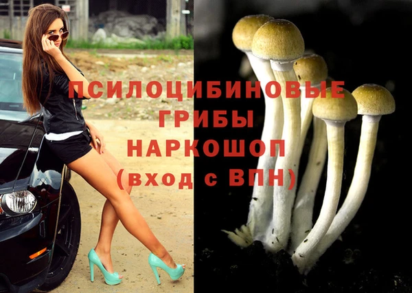 прущие крисы Абаза