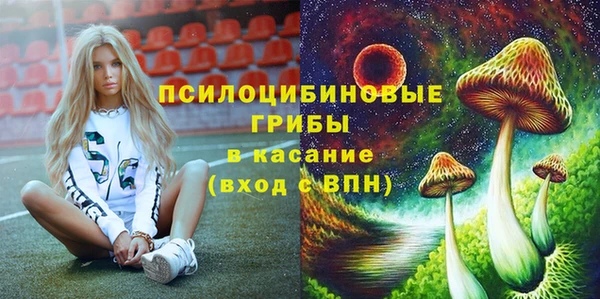 прущий лед Липки