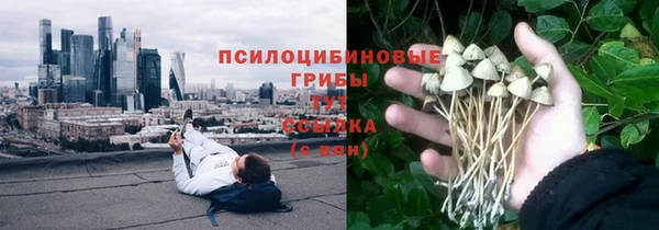 прущие крисы Абаза