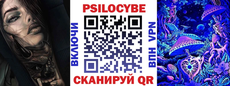Псилоцибиновые грибы Psilocybe  Химки 
